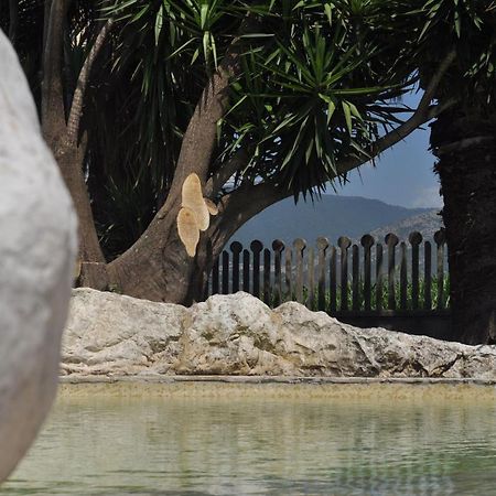 B&B Levante Paestum Mattine Eksteriør billede